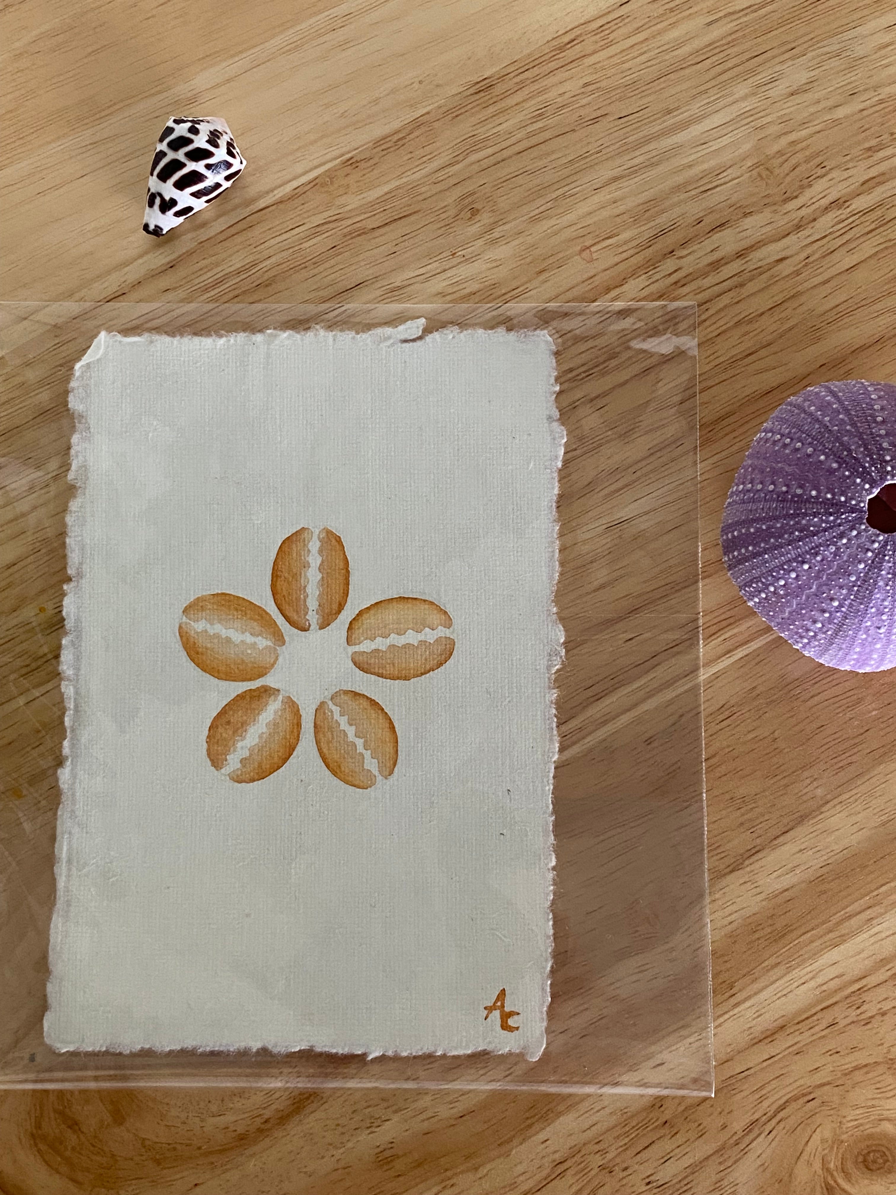cowrie pua