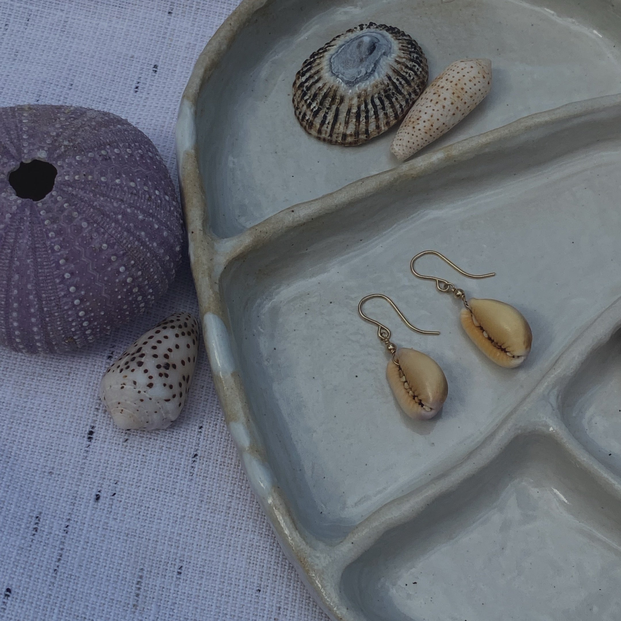 Honey Cowrie Earrings - La Perouse Collection