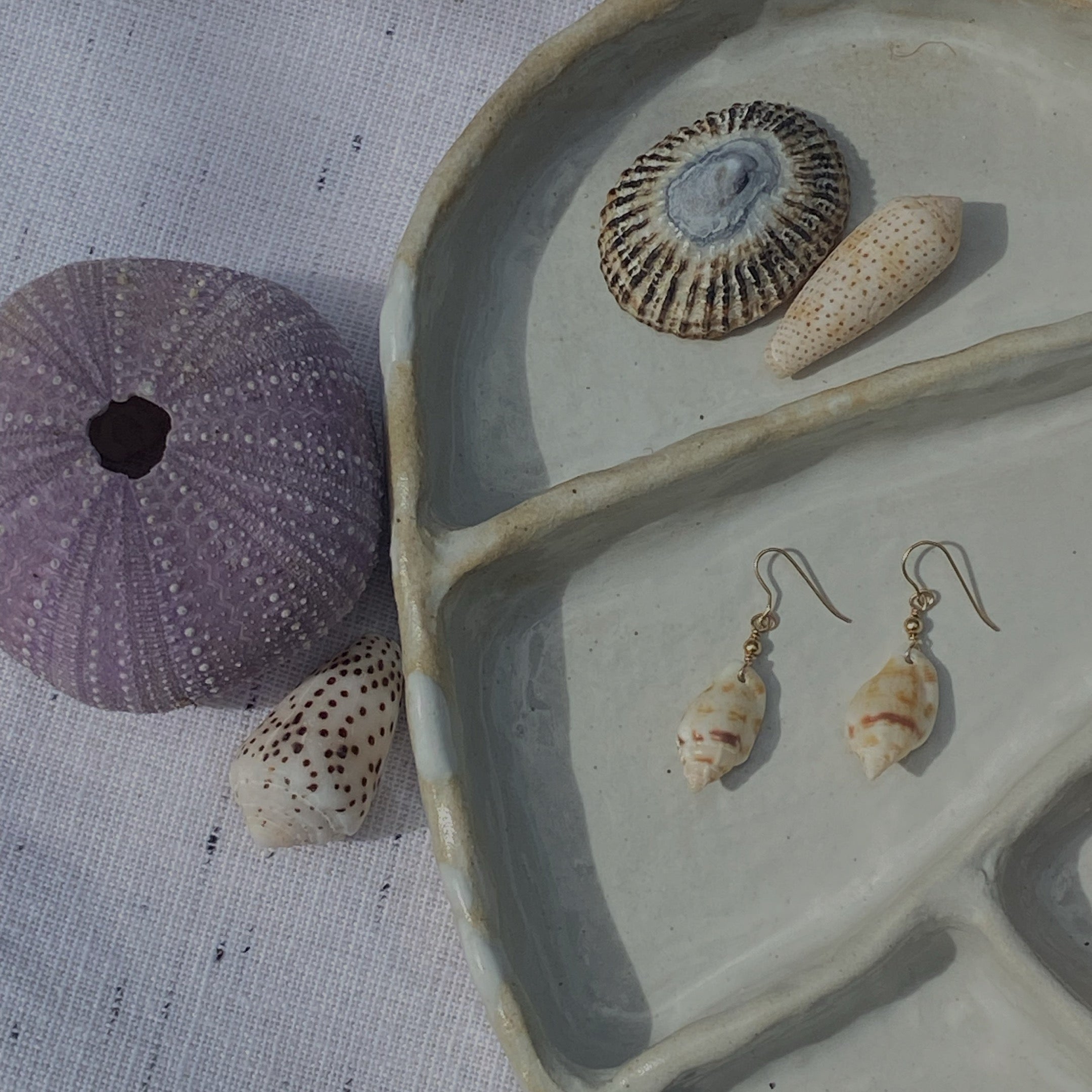Stromb Shell Earrings - La Perouse Collection