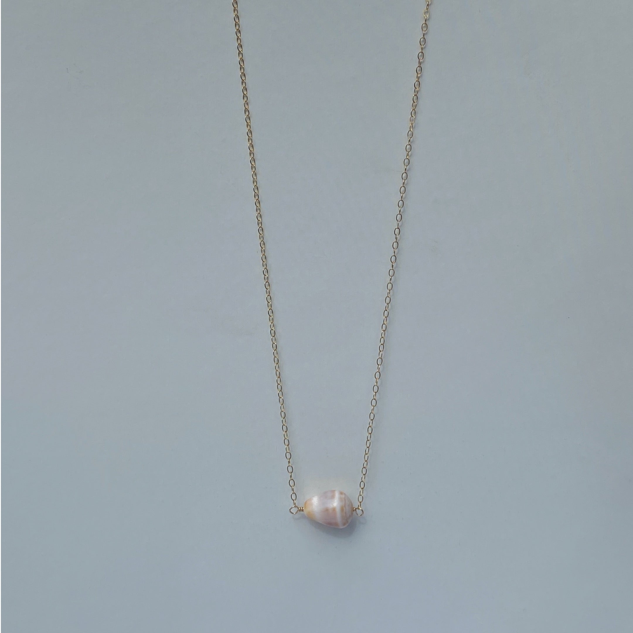 Horizontal Cone Shell Necklace - La Perouse Collection