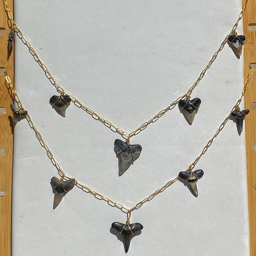 shark tooth charmed necklace