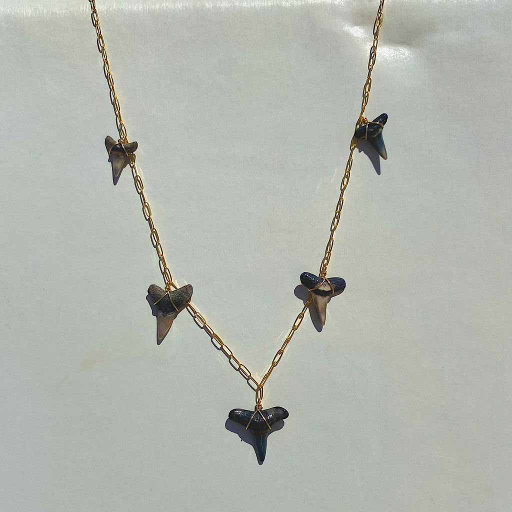 shark tooth charmed necklace