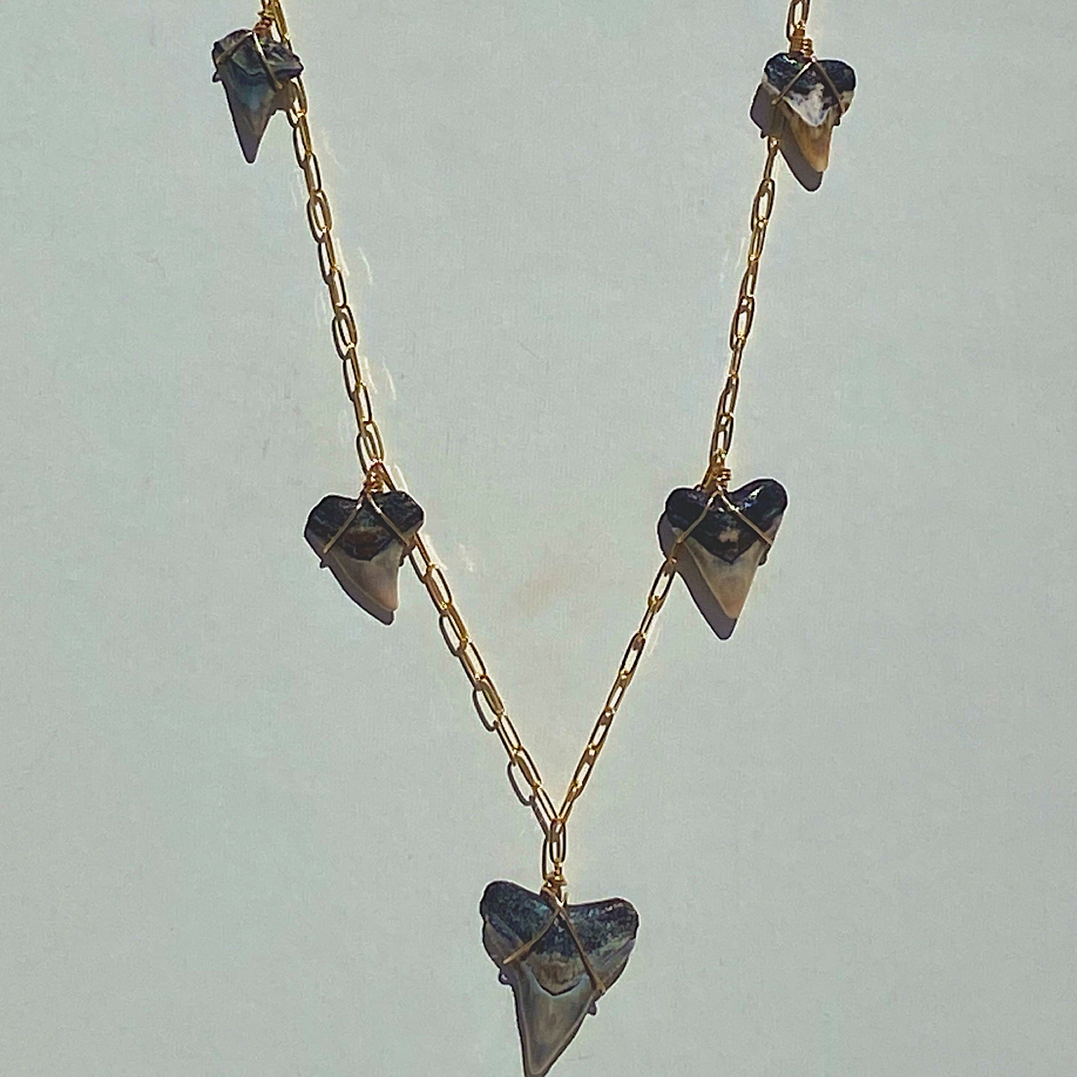 shark tooth charmed necklace