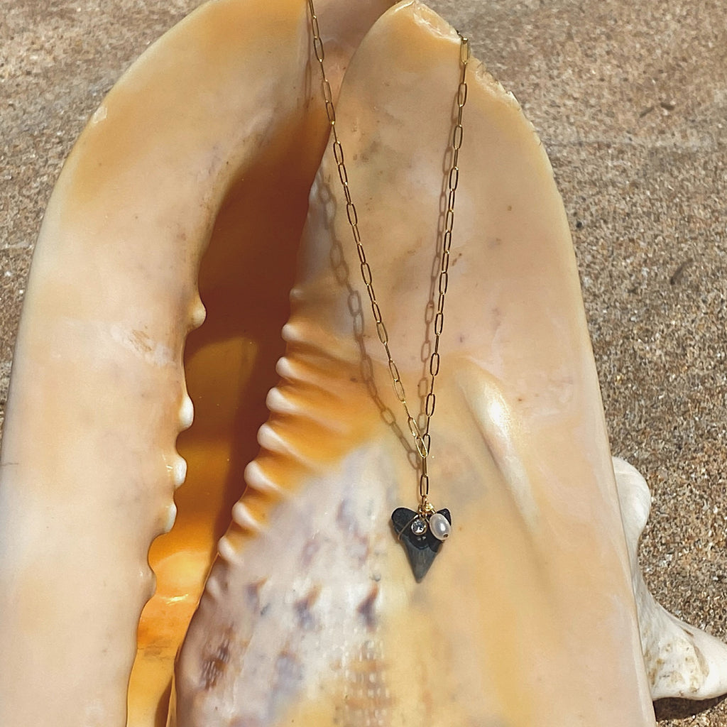 shark tooth pendant