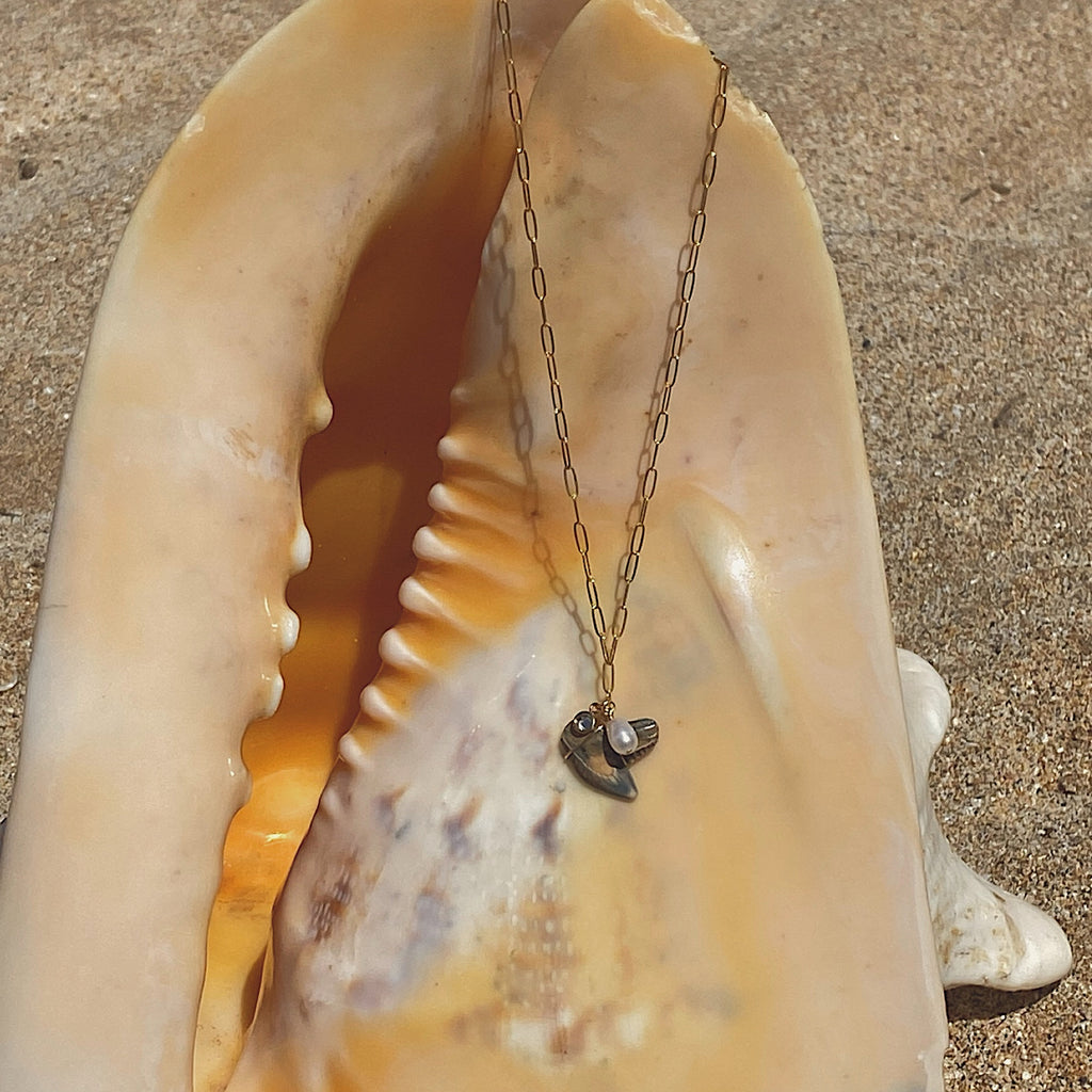 shark tooth pendant