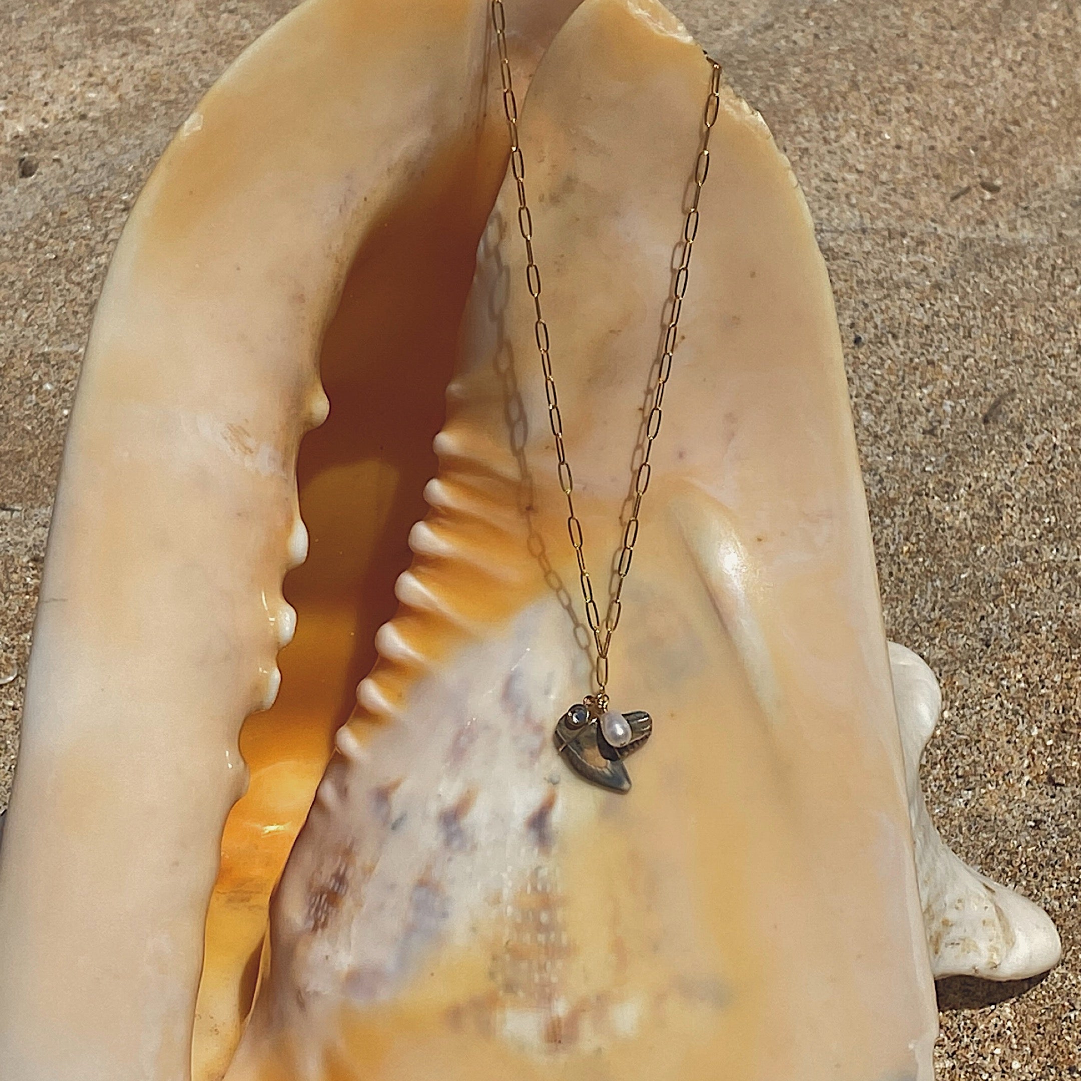 shark tooth pendant